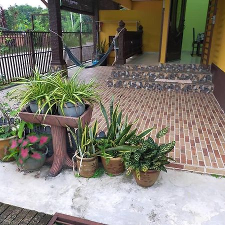 Rumah Tumpangan Di Kuala Terengganu, Terengganu Homestay D Exteriör bild