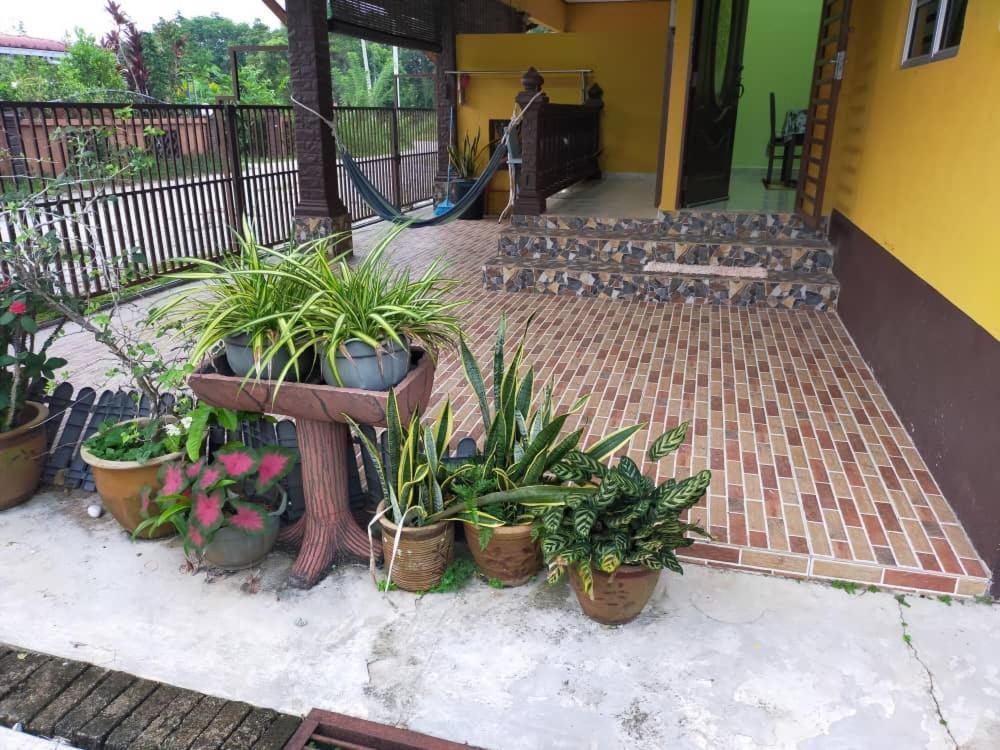 Rumah Tumpangan Di Kuala Terengganu, Terengganu Homestay D Exteriör bild